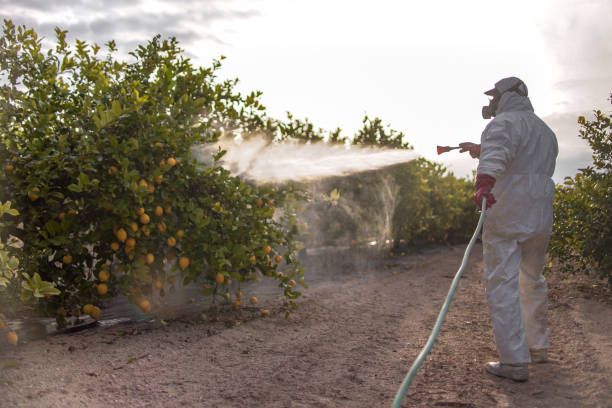 Best Pest Prevention Services  in Rockledge, PA