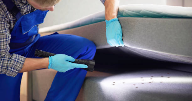 Best Affordable Pest Control Services  in Rockledge, PA